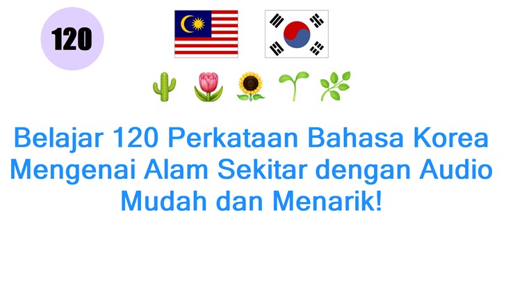 Belajar 120 Perkataan Bahasa Korea Mengenai Alam Sekitar dengan Audio Mudah dan Menarik!